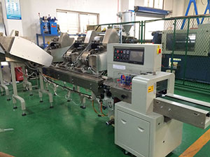 HP-250X Flow Pack Wrapping Machine